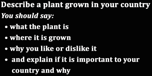 IELTS Speaking Part 2: Topic card on 'A plant grown in your country' with best ideas, notes and model answer