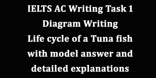 IELTS AC Writing Task 1: diagram, life cycle of tuna fish, with detailed explanations and best model answer