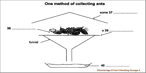IELTS Academic Reading: Cambridge 8, Test 4: Reading Passage 3; Collecting Ant Specimens; with top solutions and step-by step detailed explanations